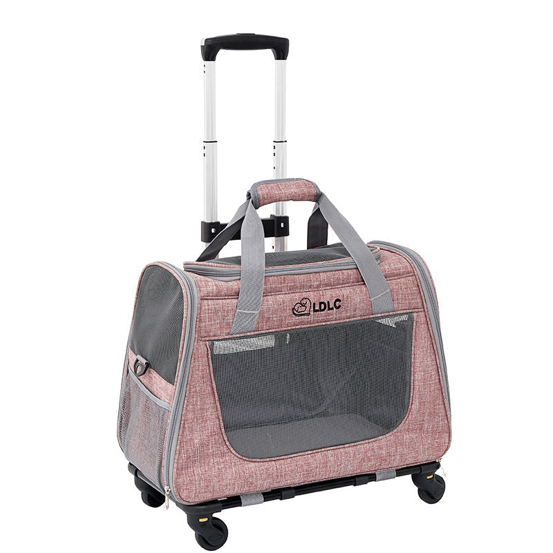 The Ultimate Guide to Traveling Comfortably with Your Pet