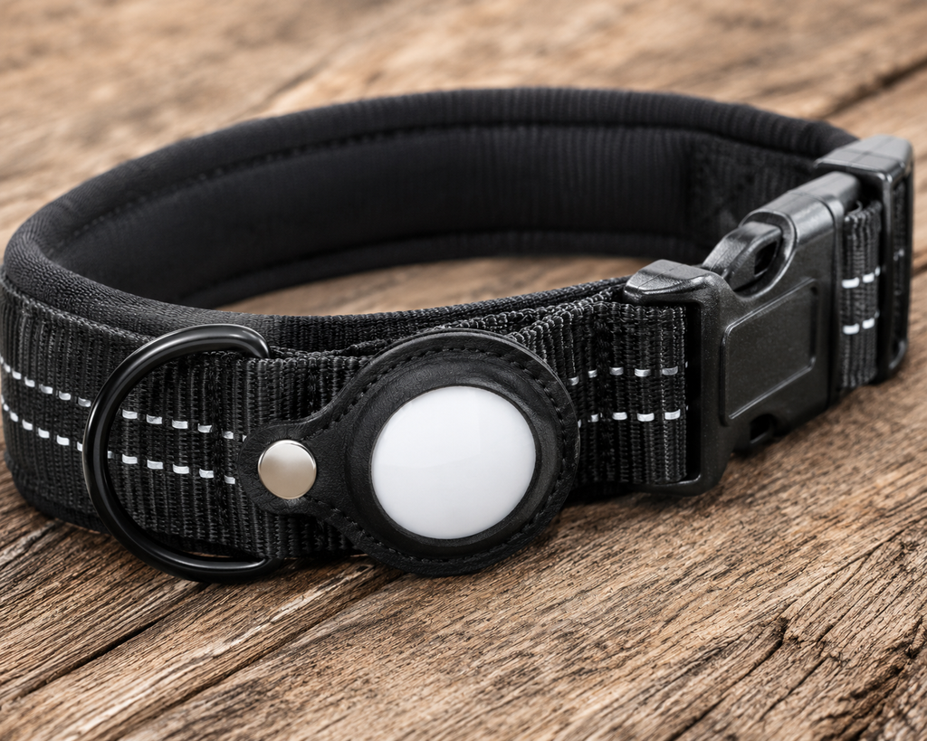 Dog Collar Tracker Tag
