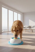 Pet toy with blue base and white top, surrounded by six dogs of different breeds on a white background
