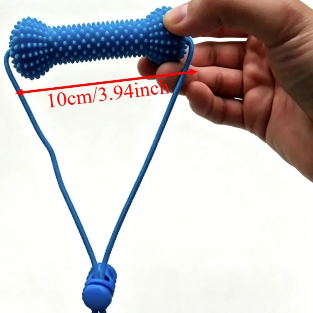 Dog Teeth Cleaning Tool