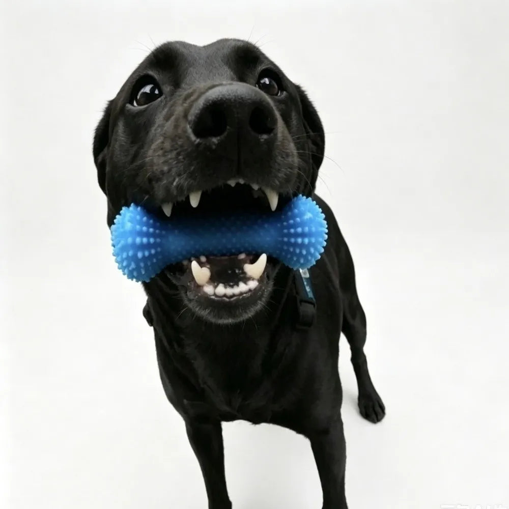 Dog Teeth Cleaning Tool