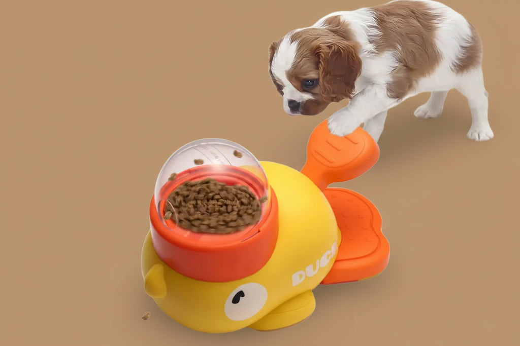 Dog toy shaped like a yellow duck with a transparent lid containing kibble, next to a small brown and white dog.