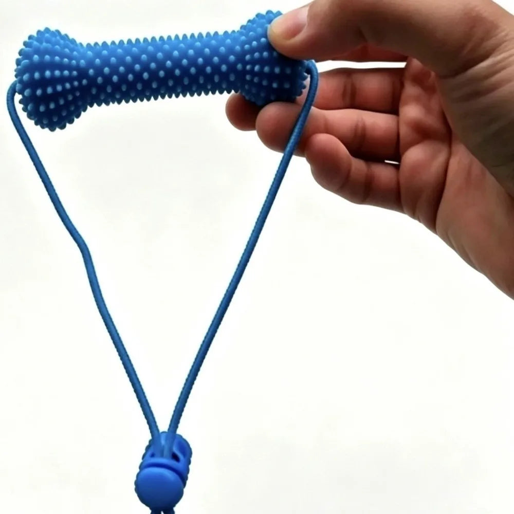 Dog Teeth Cleaning Tool