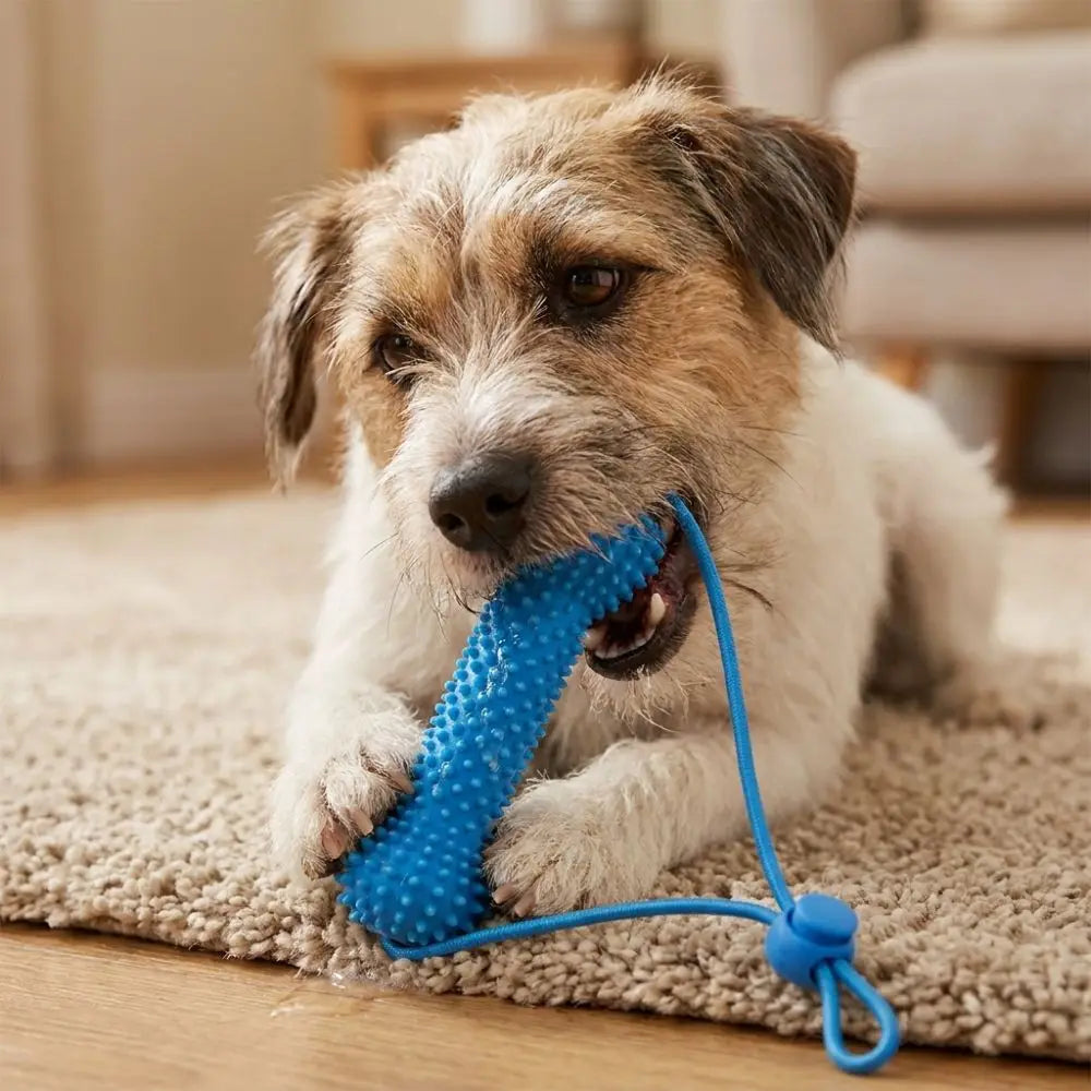 Dog Teeth Cleaning Tool