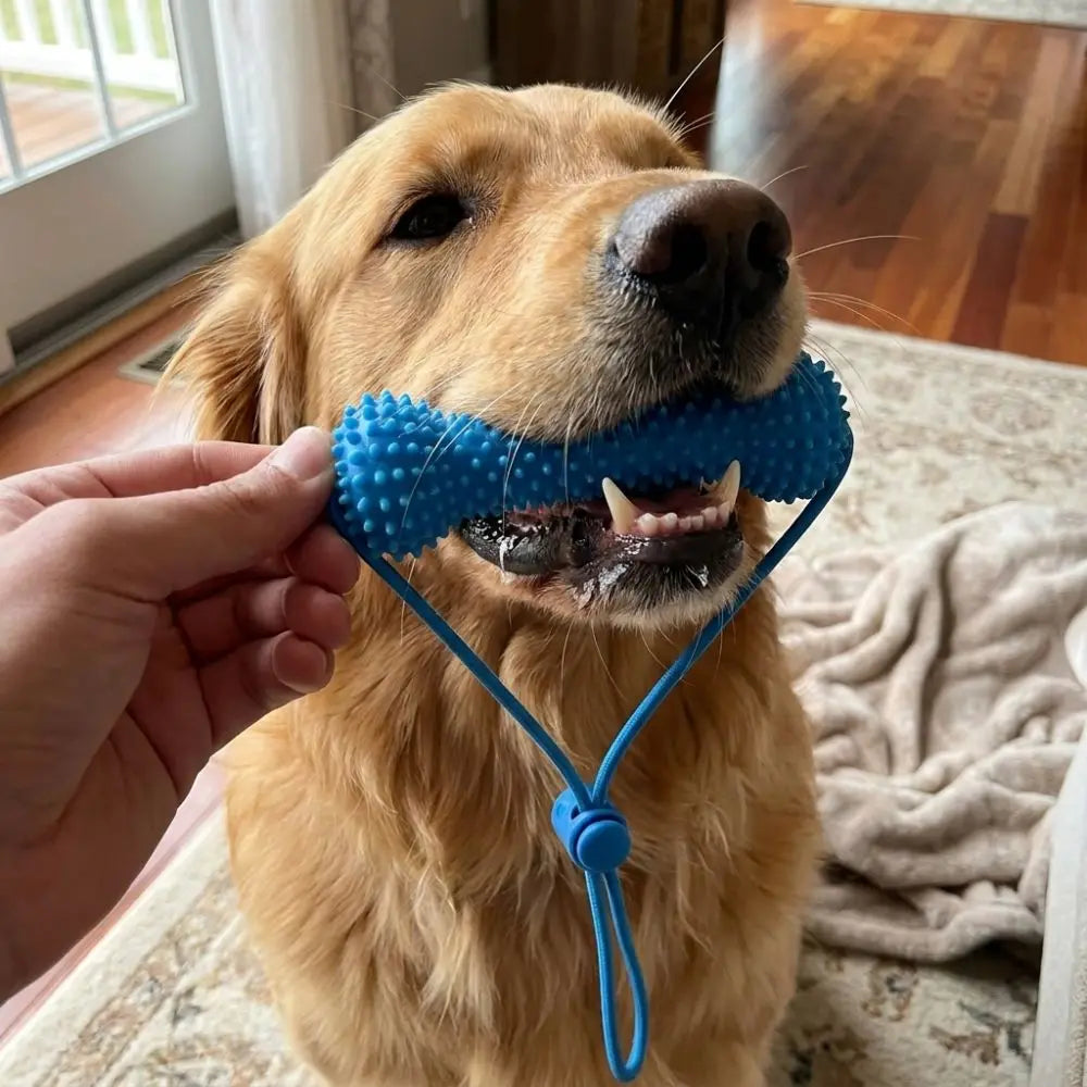 Dog Teeth Cleaning Tool